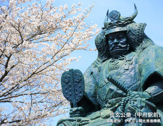 明野のひまわり（北杜市） 写真提供:やまなし観光推進機構